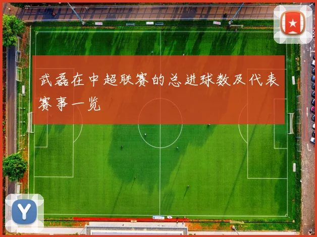 武磊在中超联赛的总进球数及代表赛事一览