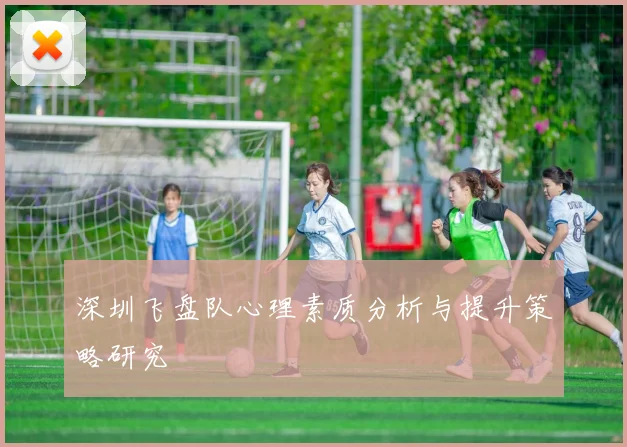 深圳飞盘队心理素质分析与提升策略研究