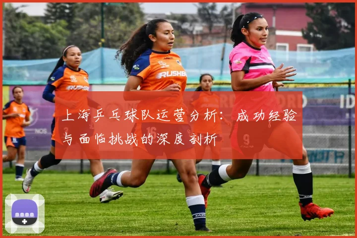上海乒乓球队运营分析：成功经验与面临挑战的深度剖析