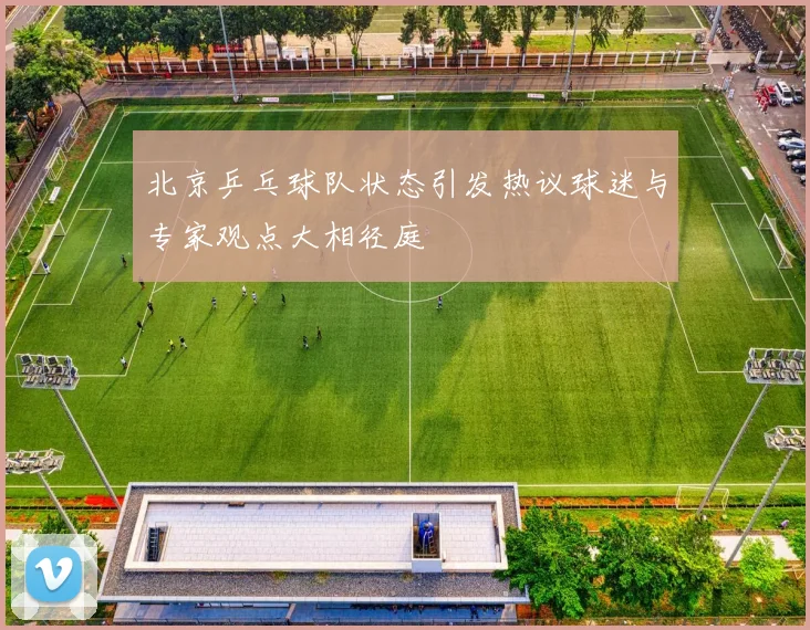 北京乒乓球队状态引发热议球迷与专家观点大相径庭